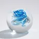 Swirl Paperweight - Blue