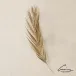 Palm Leaf Antique Brass Large