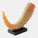 Mounted Frosted Iris Gelp Horn