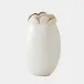 Sand Dollar White Vase Large