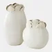 Sand Dollar White Vase