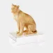 Lioness Brass/Crystal Sculpture