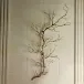 Twig Wall Art Brass