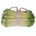 Asparagus Box Multicolor 5.5 in L