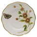 American Wildflowers Indian Blanket Flower Multicolor Salad Plate 7.5 in D