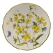 American Wildflowers Evening Primrose Multicolor Dinner Plate 10.5 in D