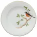 Songbird Robin Multicolor Dessert Plate 8.25 in D