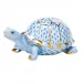 Small Box Turtle Blue 3.75 in L X 1.5 in H