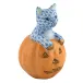 Jack O Lantern Kitty Blue