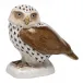 Burrowing Owl Chocolate 3.25 in L X 3.35 in H