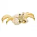 Ghost Crab Butterscotch 3.75 in L X 1.25 in H