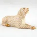Singing Labrador Butterscotch