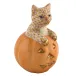 Jack O Lantern Kitty Butterscotch