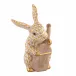 Cello Bunny Butterscotch