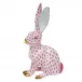 Jack Rabbit Raspberry 2.75 in L X 5 in H