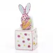 Jack in The Box Bunny Raspberry 1 in L X 1 in W X 2.75 in H