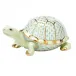 Small Box Turtle Key Lime 3.75 in L X 1.5 in H