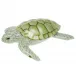 Loggerhead Turtle Key Lime 4.5 in L X 1.5 in H