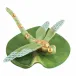Dragonfly On Lily Pad Keylime
