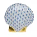 Miniature Scallop Blue 2.25 in L X 2.25 in W