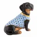 Dachshund With Sweater Blue 3.25 in L X 1.5 in W X 2.25 in H