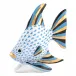 Angel Fish Blue 4.5 in L X 2.25 in W X 4.5 in H