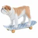 Skateboarding Bulldog Blue