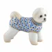 Bichon Frise Sapphire