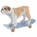 Skateboarding Bulldog Sapphire