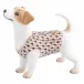Jack Russell Terrier Chocolate 3 in L X 1.5 in W X 2.5 in H