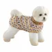 Bichon Frise Chocolate 3 in L X 1.25 in W X 2.25 in H