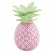 Medium Pineapple Raspberry 3.25 in L X 3 in W X 4.5 in H