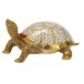 Box Turtle Multicolor 7 in L X 5 in W X 3.25 in H