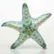 Starfish Multicolor 9.5 in L X 9.25 in W X 1.75 in H