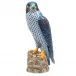 Peregrine Falcon Multicolor 5 in L X 3.75 in W X 10.5 in H