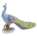 Proud Peacock Multicolor