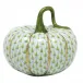 Cinderella Pumpkin Key Lime 2.5 in L X 2.25 in H