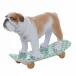 Skateboarding Bulldog Keylime