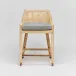 Boca Counter Stool Natural/Jade