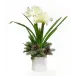 Double White Amaryllis Pot