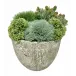 Grass, Sedum, Succulent Pot 11 x 13 x 13"