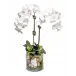 Glass Cylinder With Orchids/ Geode Crystals