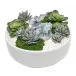 White Bowl With Succulents/ Blue Crystals