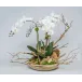 Wood Bowl With Orchids/Manzanita