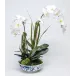 Blue/White Bowl With Double Orchids