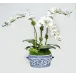 Blue/White Oval Bowl With Triple Orchids