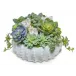 Saguaro Bowl With Succulents/Crystals