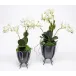 Set of 2 Black Plant Stands With Mini Orchids