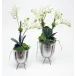 Set of 2 Silver Planter Stands With Mini Orchids