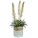Cream Flowering Agave in Ombre Pot